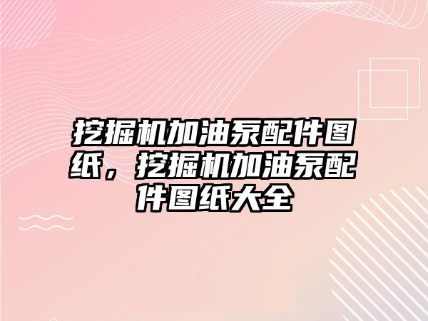 挖掘機加油泵配件圖紙，挖掘機加油泵配件圖紙大全