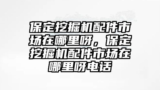 保定挖掘機(jī)配件市場(chǎng)在哪里呀，保定挖掘機(jī)配件市場(chǎng)在哪里呀電話