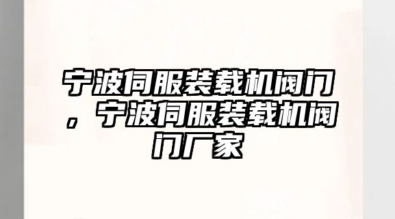 寧波伺服裝載機(jī)閥門，寧波伺服裝載機(jī)閥門廠家