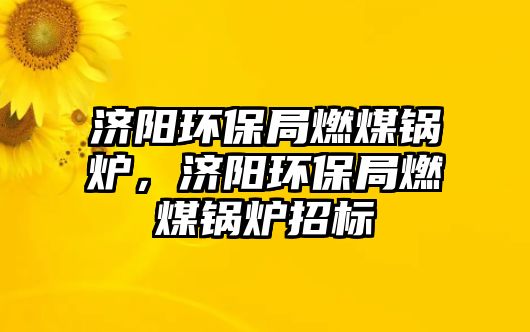 濟(jì)陽環(huán)保局燃煤鍋爐，濟(jì)陽環(huán)保局燃煤鍋爐招標(biāo)