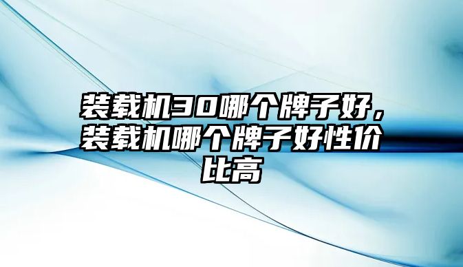 裝載機30哪個牌子好，裝載機哪個牌子好性價比高