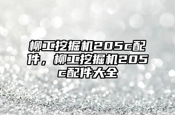 柳工挖掘機(jī)205c配件，柳工挖掘機(jī)205c配件大全