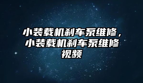 小裝載機(jī)剎車泵維修，小裝載機(jī)剎車泵維修視頻