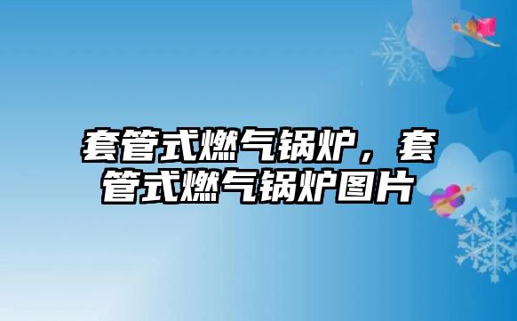 套管式燃?xì)忮仩t，套管式燃?xì)忮仩t圖片