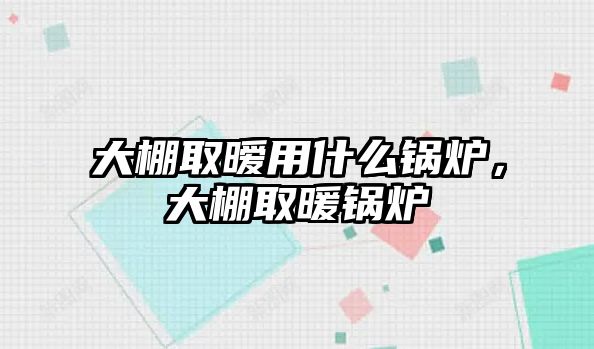 大棚取曖用什么鍋爐，大棚取暖鍋爐