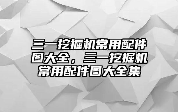 三一挖掘機常用配件圖大全，三一挖掘機常用配件圖大全集