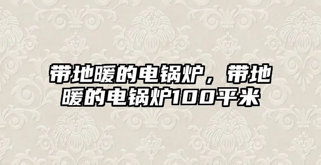 帶地暖的電鍋爐，帶地暖的電鍋爐100平米