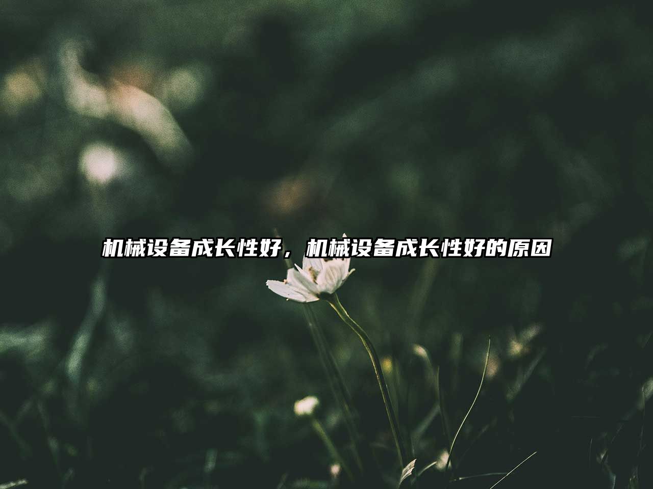 機(jī)械設(shè)備成長(zhǎng)性好，機(jī)械設(shè)備成長(zhǎng)性好的原因