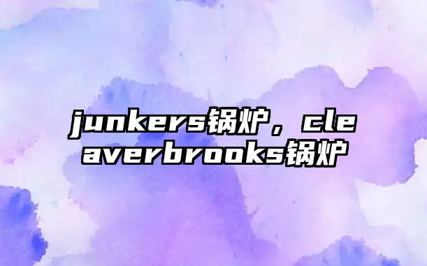 junkers鍋爐，cleaverbrooks鍋爐