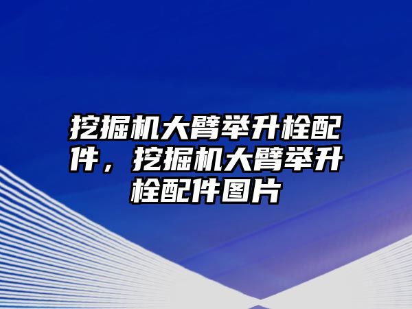 挖掘機(jī)大臂舉升栓配件，挖掘機(jī)大臂舉升栓配件圖片