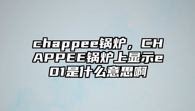 chappee鍋爐，CHAPPEE鍋爐上顯示e01是什么意思啊