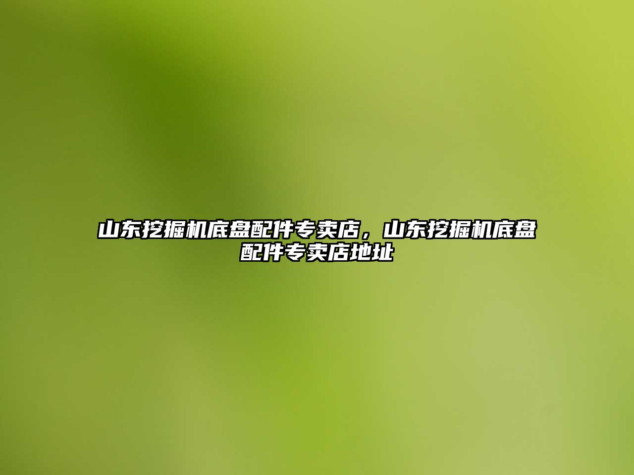 山東挖掘機底盤配件專賣店，山東挖掘機底盤配件專賣店地址