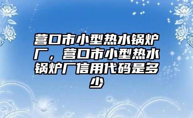 營(yíng)口市小型熱水鍋爐廠，營(yíng)口市小型熱水鍋爐廠信用代碼是多少