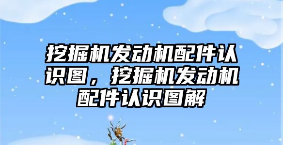 挖掘機發(fā)動機配件認識圖，挖掘機發(fā)動機配件認識圖解