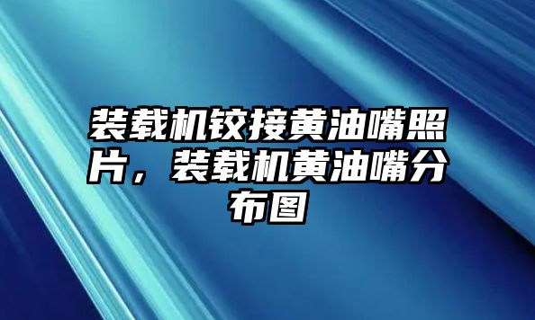 裝載機鉸接黃油嘴照片，裝載機黃油嘴分布圖