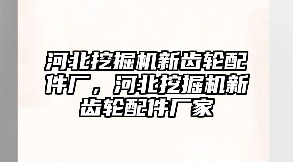 河北挖掘機(jī)新齒輪配件廠，河北挖掘機(jī)新齒輪配件廠家