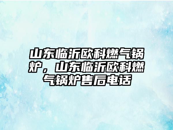 山東臨沂歐科燃?xì)忮仩t，山東臨沂歐科燃?xì)忮仩t售后電話