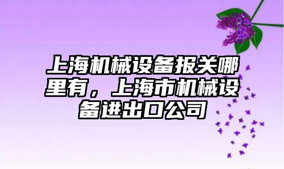 上海機械設(shè)備報關(guān)哪里有，上海市機械設(shè)備進出口公司