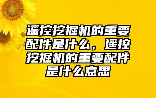 遙控挖掘機的重要配件是什么，遙控挖掘機的重要配件是什么意思