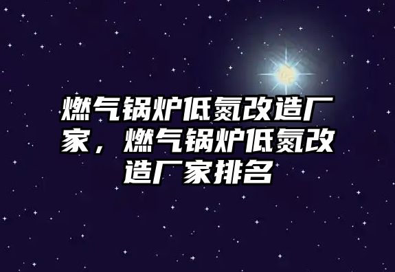 燃?xì)忮仩t低氮改造廠家，燃?xì)忮仩t低氮改造廠家排名