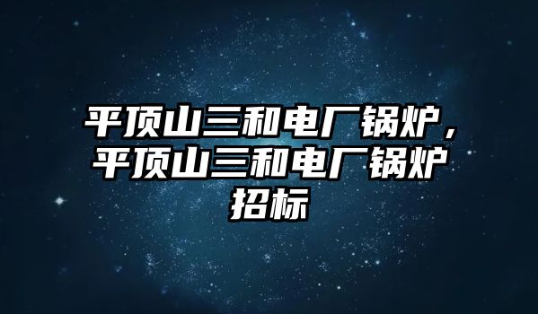 平頂山三和電廠鍋爐，平頂山三和電廠鍋爐招標(biāo)