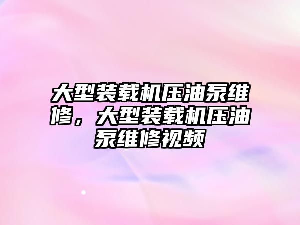 大型裝載機(jī)壓油泵維修，大型裝載機(jī)壓油泵維修視頻