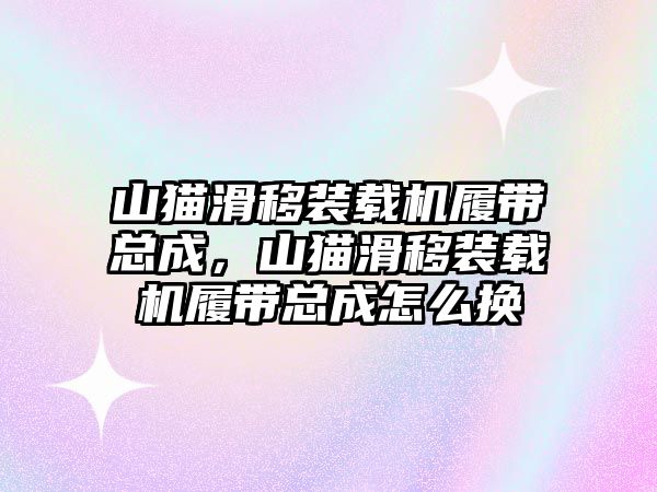 山貓滑移裝載機(jī)履帶總成，山貓滑移裝載機(jī)履帶總成怎么換