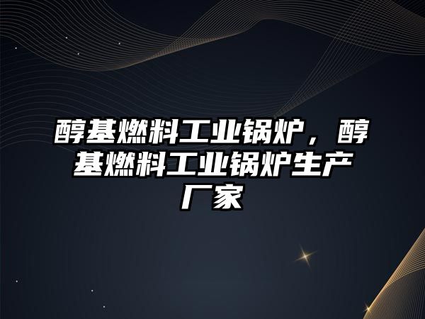 醇基燃料工業(yè)鍋爐，醇基燃料工業(yè)鍋爐生產(chǎn)廠家