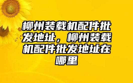 柳州裝載機(jī)配件批發(fā)地址，柳州裝載機(jī)配件批發(fā)地址在哪里