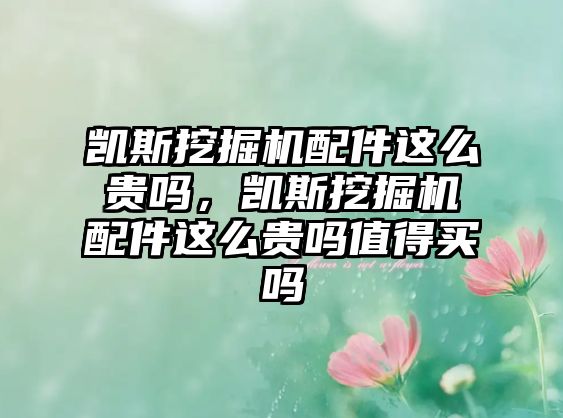 凱斯挖掘機配件這么貴嗎，凱斯挖掘機配件這么貴嗎值得買嗎