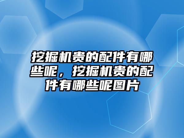 挖掘機貴的配件有哪些呢，挖掘機貴的配件有哪些呢圖片