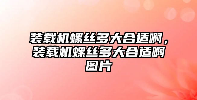 裝載機螺絲多大合適啊，裝載機螺絲多大合適啊圖片