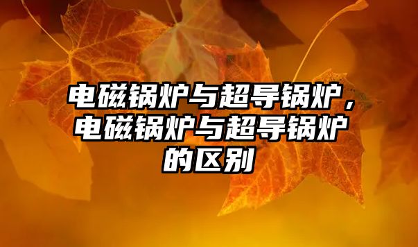 電磁鍋爐與超導(dǎo)鍋爐，電磁鍋爐與超導(dǎo)鍋爐的區(qū)別