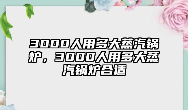 3000人用多大蒸汽鍋爐，3000人用多大蒸汽鍋爐合適