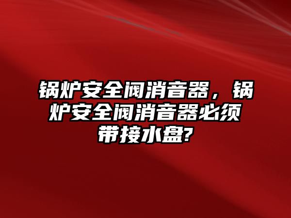 鍋爐安全閥消音器，鍋爐安全閥消音器必須帶接水盤?