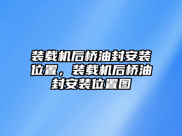 裝載機(jī)后橋油封安裝位置，裝載機(jī)后橋油封安裝位置圖