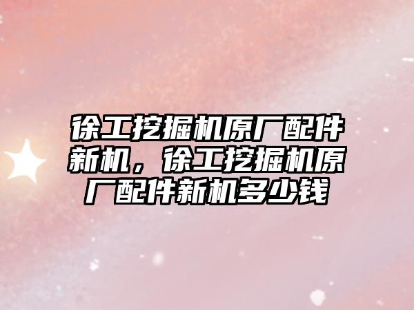 徐工挖掘機原廠配件新機，徐工挖掘機原廠配件新機多少錢