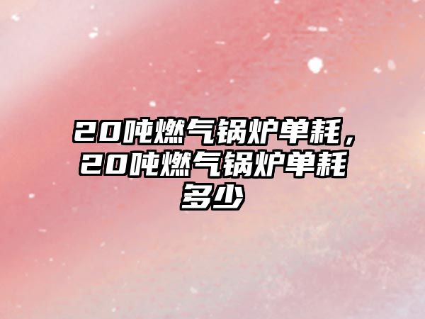 20噸燃?xì)忮仩t單耗，20噸燃?xì)忮仩t單耗多少