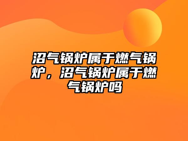 沼氣鍋爐屬于燃氣鍋爐，沼氣鍋爐屬于燃氣鍋爐嗎