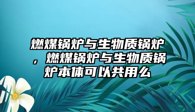 燃煤鍋爐與生物質(zhì)鍋爐，燃煤鍋爐與生物質(zhì)鍋爐本體可以共用么