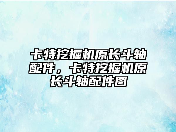 卡特挖掘機(jī)原長斗軸配件，卡特挖掘機(jī)原長斗軸配件圖