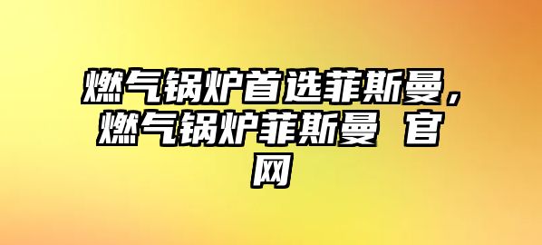 燃?xì)忮仩t首選菲斯曼，燃?xì)忮仩t菲斯曼 官網(wǎng)