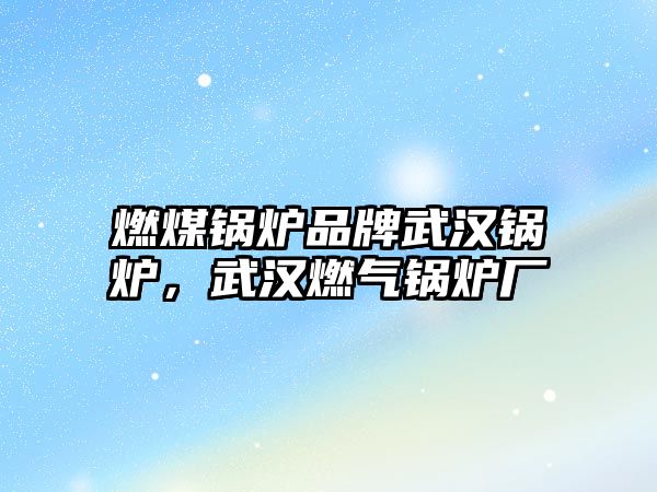 燃煤鍋爐品牌武漢鍋爐，武漢燃?xì)忮仩t廠