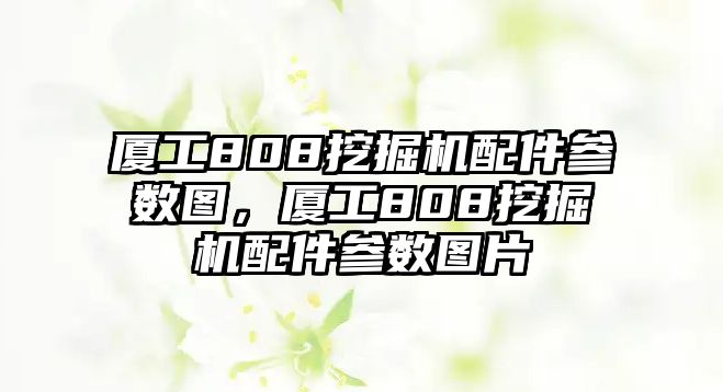 廈工808挖掘機(jī)配件參數(shù)圖，廈工808挖掘機(jī)配件參數(shù)圖片