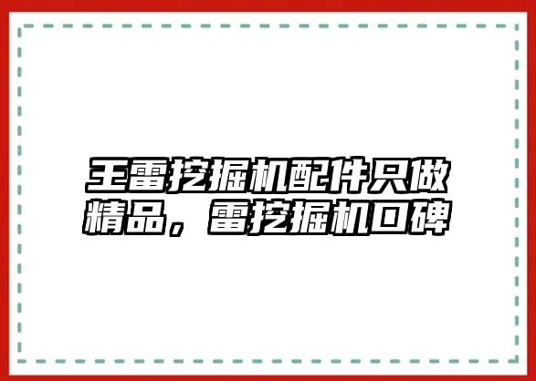 王雷挖掘機配件只做精品，雷挖掘機口碑