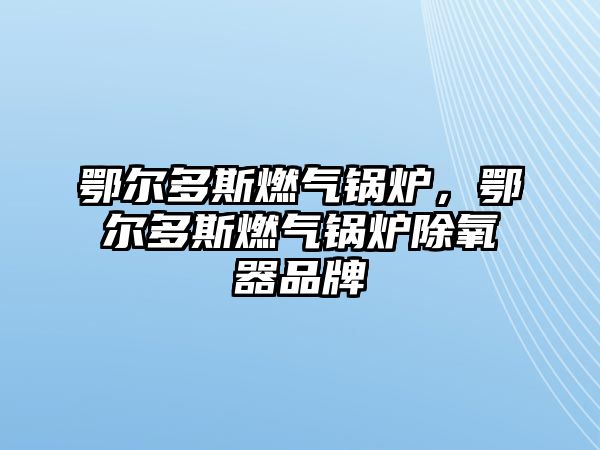 鄂爾多斯燃?xì)忮仩t，鄂爾多斯燃?xì)忮仩t除氧器品牌