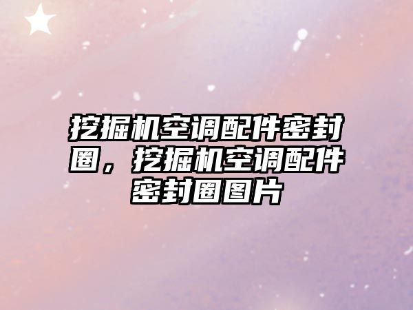 挖掘機(jī)空調(diào)配件密封圈，挖掘機(jī)空調(diào)配件密封圈圖片