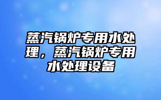 蒸汽鍋爐專用水處理，蒸汽鍋爐專用水處理設(shè)備