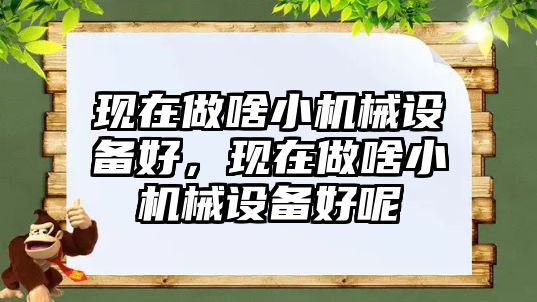 現(xiàn)在做啥小機(jī)械設(shè)備好，現(xiàn)在做啥小機(jī)械設(shè)備好呢