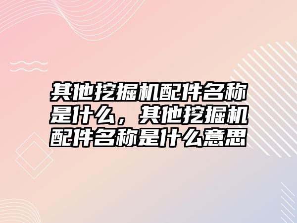 其他挖掘機配件名稱是什么，其他挖掘機配件名稱是什么意思